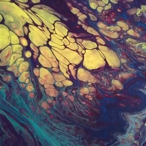 Meet your Posher, Carol